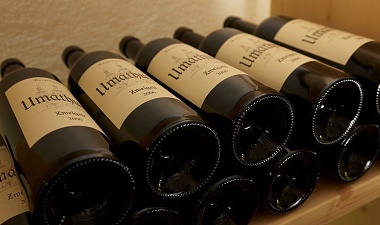 Hotel Gridlon - Wine Cellar, Wine Tasting